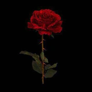 Рано Давлатова - Facebook Profile Picture of Рано Давлатова (@&) on Facebook