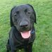Profile Picture of Neil Potts (@neil.potts.188) on Facebook