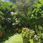 Profile Picture of Loretta Craig (@loretta.craig.73) on Facebook