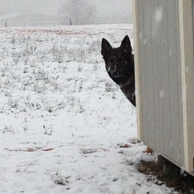 Profile Picture of James Arrington (@@jba2869) on Twitter