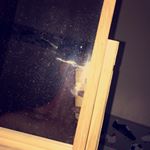 Profile Picture of David Chapman (@david_chapman_18) on Instagram