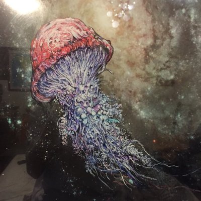 Profile Picture of Kyle Coulombe (@KyleCoulombe) on Twitter