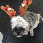 Profile Picture of Catherine Liddle (@liddle.catherine) on Instagram