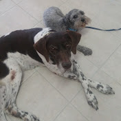 Profile Picture of Steve Fabian (@stevefabian477) on Youtube