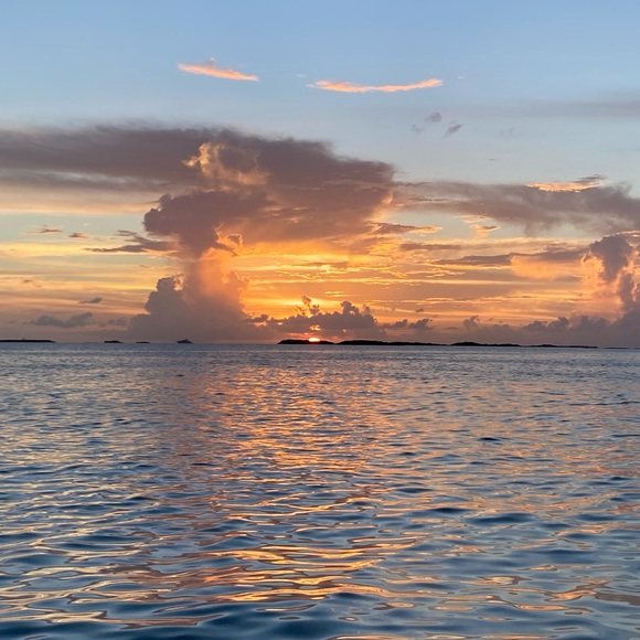 Profile Picture of Julia Reisman (@juliareisman) on Poshmark