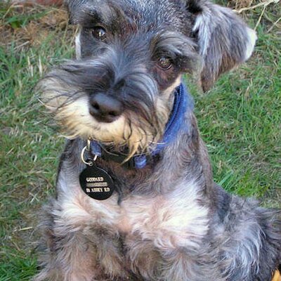 JaysonStodomingo - Twitter Profile Picture of JaysonStodomingo (@JaysonStod) on Twitter