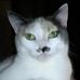 Profile Picture of Lori Heeter (@LORIKAYHEETER) on Facebook