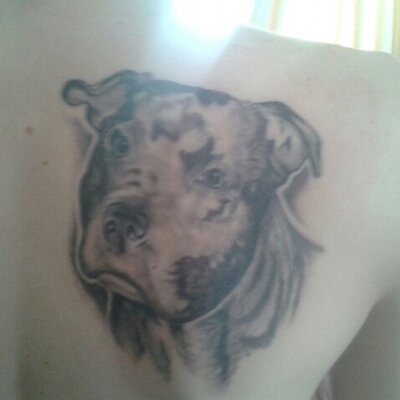 Profile Picture of Scott Triggs (@trigger2358) on Twitter