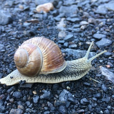 Profile Picture of Bray Fabien (@brayfabien) on Twitter