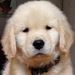Profile Picture of Linda Vellenga (@linda_vellenga) on Pinterest