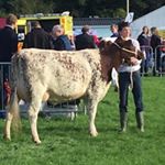 Profile Picture of John Handley (@john.handley.5688) on Instagram