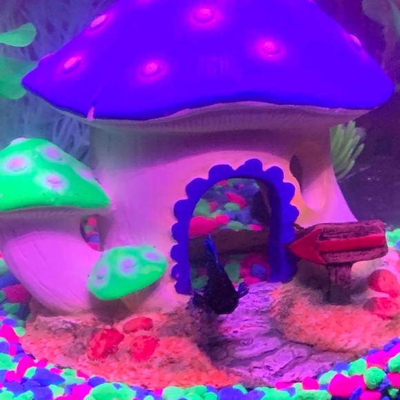 Profile Picture of Megan Conville (@megan_conville) on Poshmark