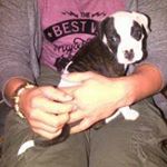 Profile Picture of Bradley Wayne Castle (@bradleycastle12) on Instagram