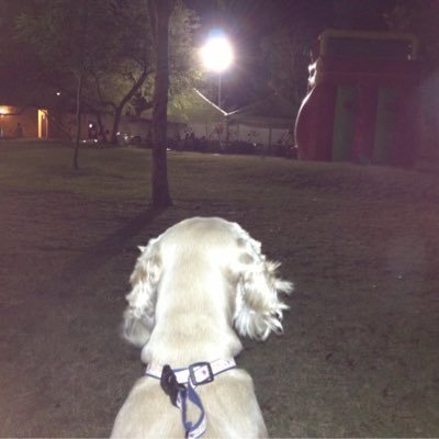 Profile Picture of Ivy (@IvyRodMat) on Twitter