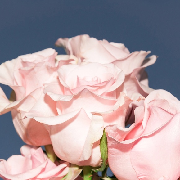 Sydney Tarabas - Poshmark Profile Picture of Sydney Tarabas (@sydthekid86) on Poshmark