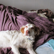 Profile Picture of Mary Jean McGee-Benson (@maryjeanmcgee-benson8738) on Youtube