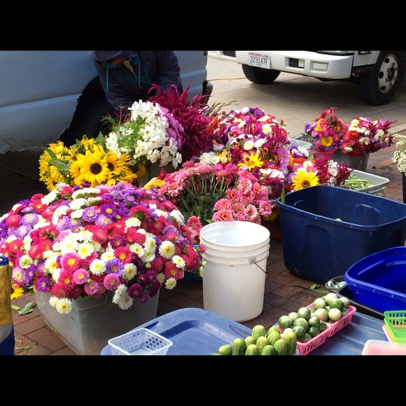 Profile Picture of Amanda Polzer (@polzam07) on Poshmark