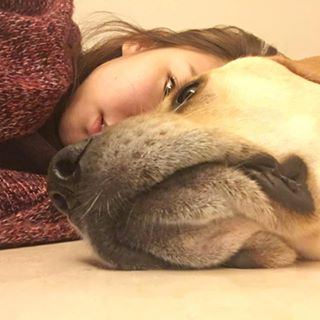 Profile Picture of Ada Zhang (@ada.q.zhang) on Facebook