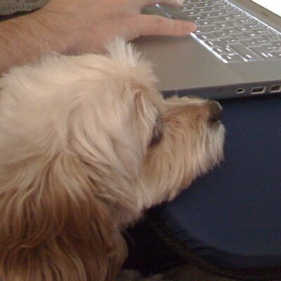 Profile Picture of MinaWhite (@minaWhite) on Twitter