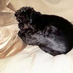 Profile Picture of Hazel Tate (@haztate) on Instagram