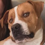 Scott Bunnell - Facebook Profile Picture of Scott Bunnell (@scott.bunnell.90) on Facebook