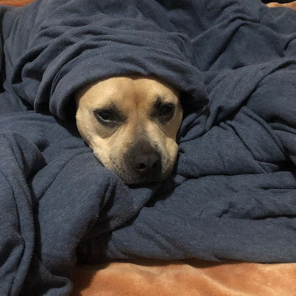 Profile Picture of Austin Forgason (@forgasonaustin) on Poshmark