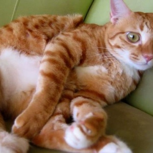 Profile Picture of Thomas Overfield (@thomas418) on Myspace