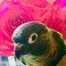 Profile Picture of Traci Ramirez (@traci.ramirez.71) on Facebook