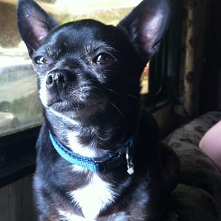 Profile Picture of Wade Strunk (@wade.strunk.7) on Facebook