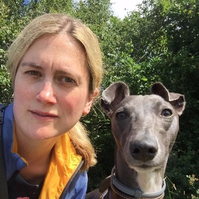 Profile Picture of Laura Hinton (@laura_hinton) on Twitter