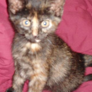 Profile Picture of Nick Agnello (@Nick-Agnello) on Facebook