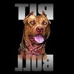 Profile Picture of 1 follower (@michaelpaulmccullumjr.7053) on Instagram