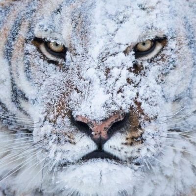 Profile Picture of Greg Irwin (@GregIrwin9) on Twitter