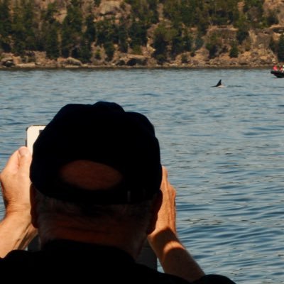 Profile Picture of Peter Dobbs (@PeterDobbs7) on Twitter