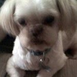 Andrew Nesheim - Instagram Profile Picture of Andrew Nesheim (@andrewn02) on Instagram