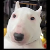 Profile Picture of Travis Strong (@Fishing_101) on Youtube