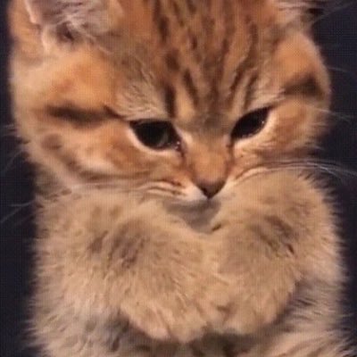 Profile Picture of Kevin Young (@WyMun21) on Twitter