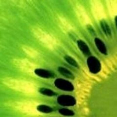 Profile Picture of Tim Moorman (@dienomiste) on Twitter