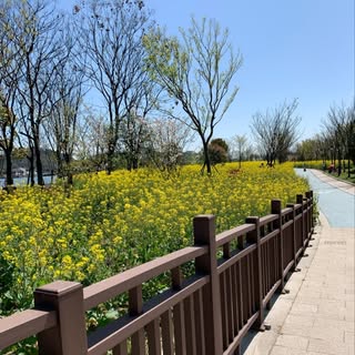 Profile Picture of Candy (@zhao.feifei) on Instagram