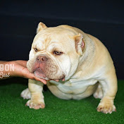 Profile Picture of Michael Winfree (@monemaknsuny1) on Youtube