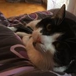 Profile Picture of Claudia Wendel (@claudiawendel) on Instagram