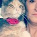 Profile Picture of April Collett (@aprilcollett68) on Pinterest