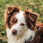 Profile Picture of Leah Picone (@lpicone) on Instagram