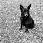 Profile Picture of kim owenby (@kim.owenby) on Instagram