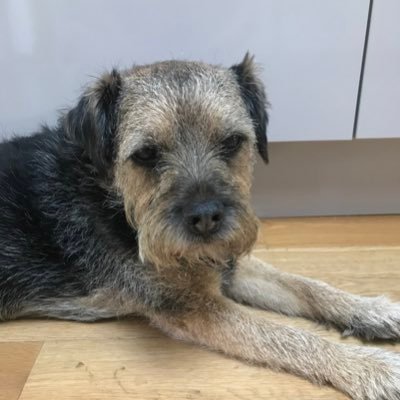 Profile Picture of Bruce’s Mum (@DebraScutts) on Twitter