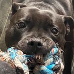 Profile Picture of Paul Osborne (@paul.osborne.94695) on Instagram