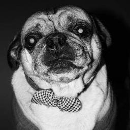 Profile Picture of Brian McAlister (@Sotacor) on Twitter