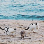 Profile Picture of Jesse (@jesse_garfield_) on Instagram