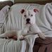 Profile Picture of Krista Matthews (@krista.matthews.585) on Facebook