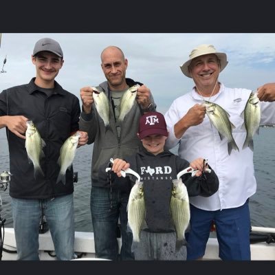 Profile Picture of Chip Wells (@ChipWells10) on Twitter